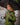 #color_chive-green