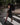 #color_black-beauty
