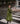 #color_chive-green