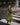 #color_chive-green