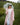 #color_chive-green