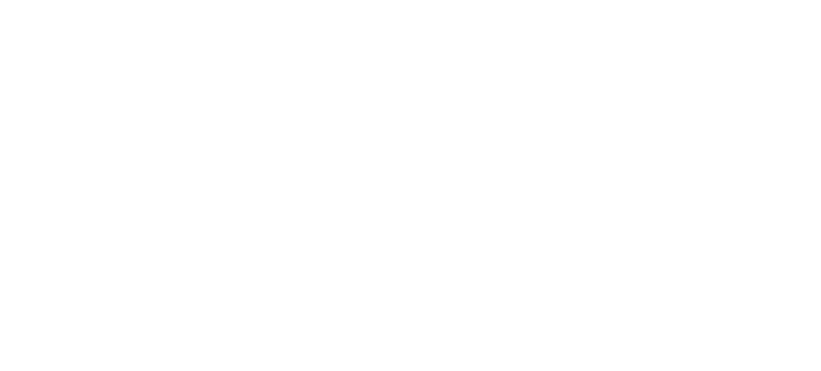 mernini